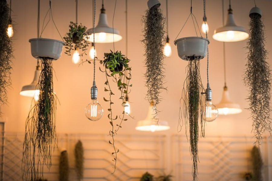 departamentos de lujo