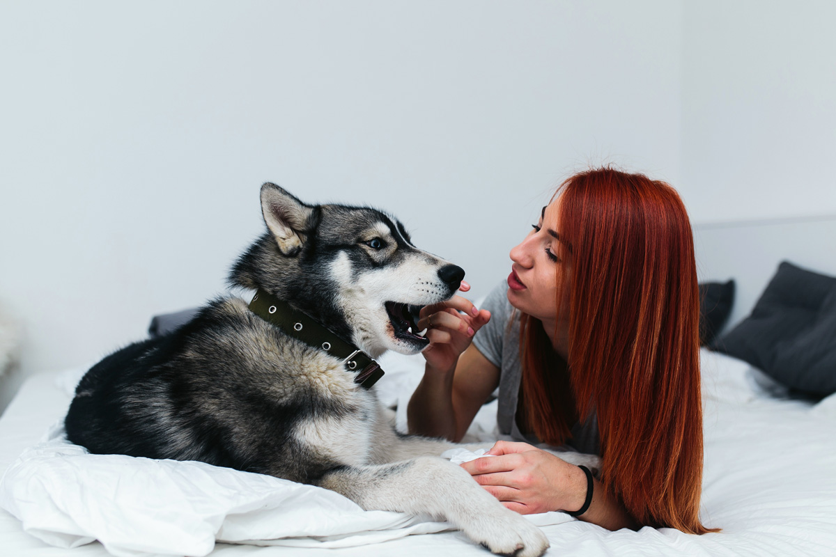 Trucos útiles para tener felices a tus mascotas en un departamento