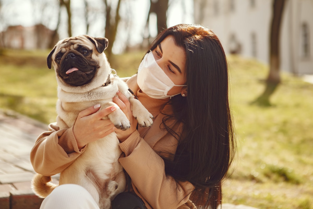 Protege a tu mascota en pandemia