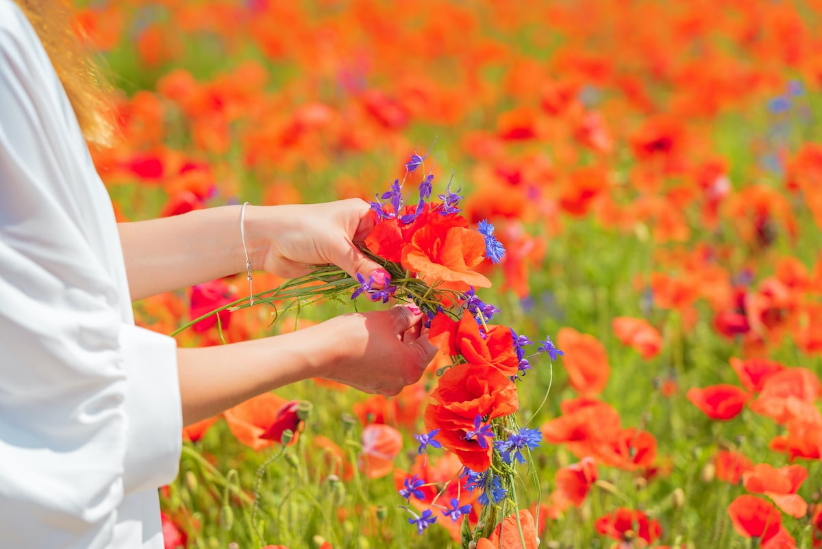 Primavera
