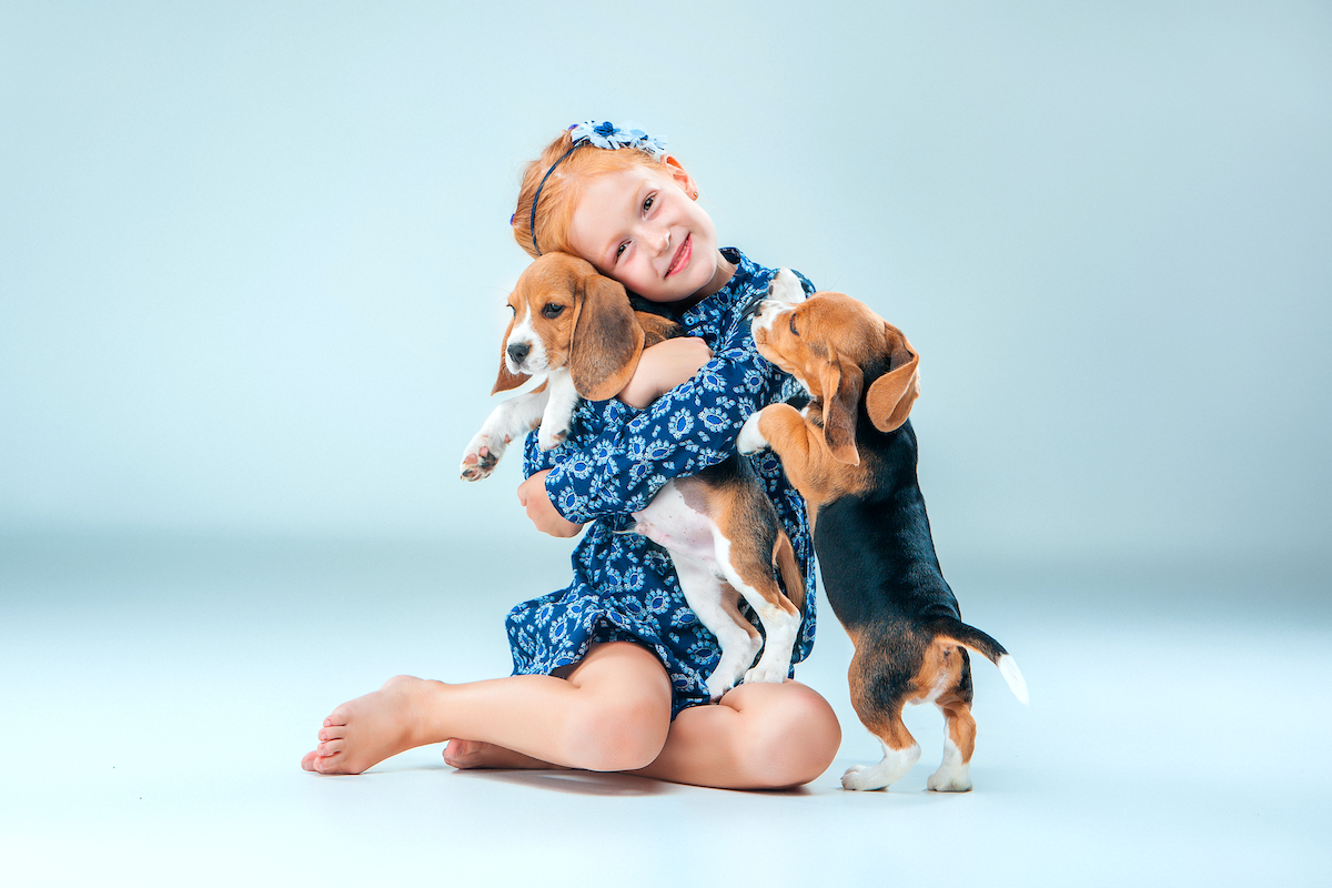 Consejos para cuidar a tus mascotas en primavera